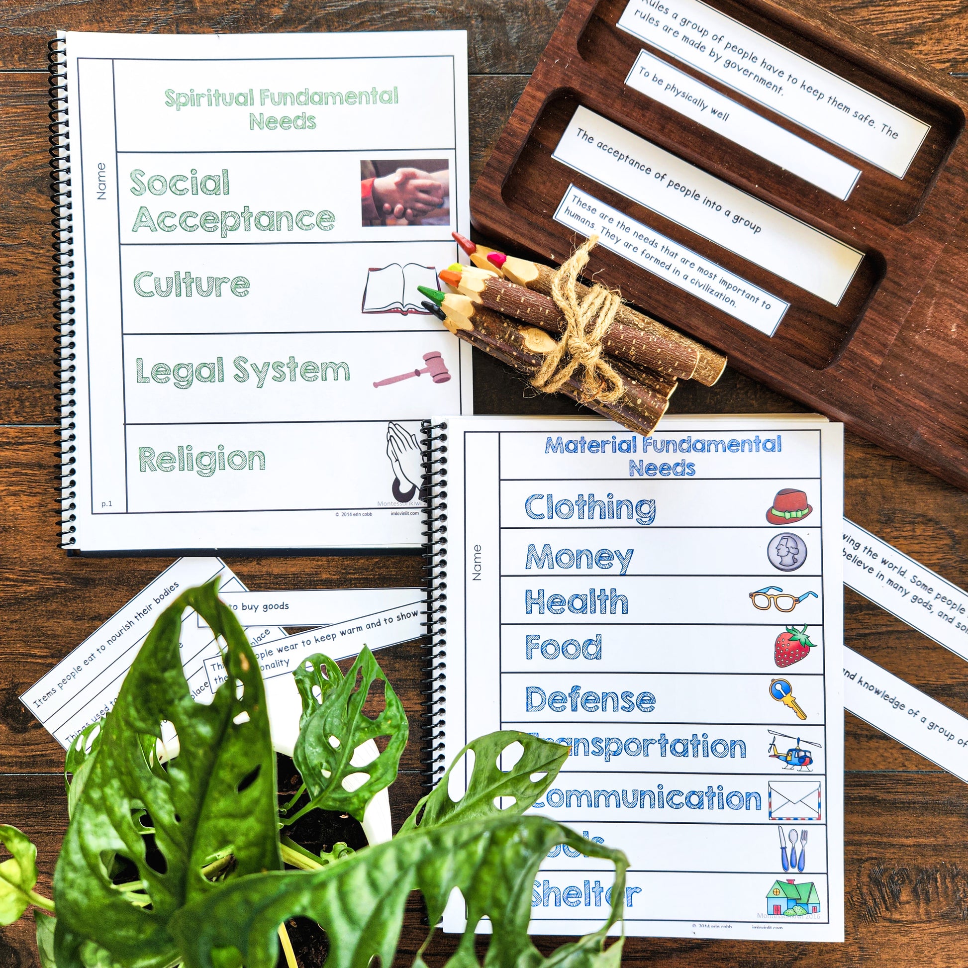 Fundamental needs interactive books (cosmic) - subscription - montessorikiwi