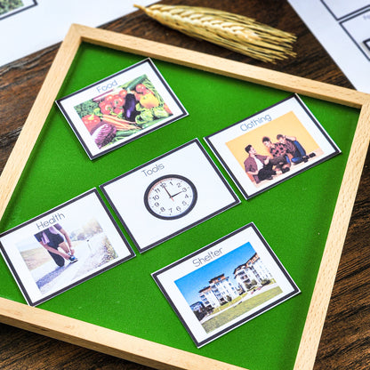 Montessori Introduction to Fundamental Needs Charts (cosmic) - montessorikiwi