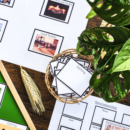 Montessori Introduction to Fundamental Needs Charts (cosmic) - montessorikiwi