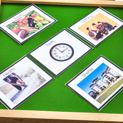 Montessori Introduction to Fundamental Needs Charts (cosmic) - montessorikiwi