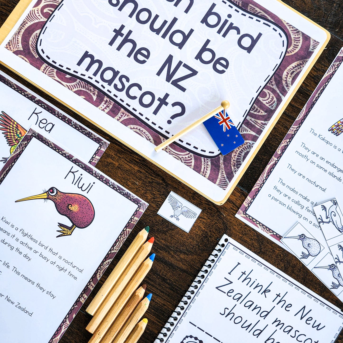 New Zealand Election Activity: Let's vote for our favourite bird - montessorikiwi
