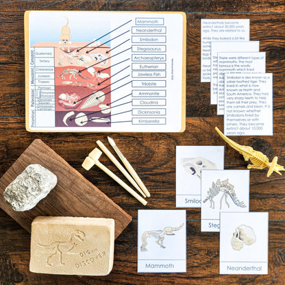 Montessori Geological Time & Timeline of Life Bundle | Clock of Eras, Fossils & Prehistoric Life