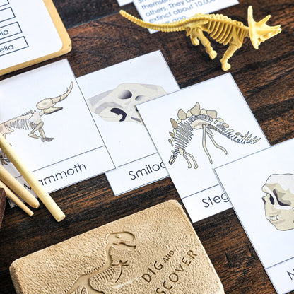 Fossils of different eras 3 part cards (cosmic) - montessorikiwi