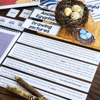 Montessori Great Story Script Bundle - montessorikiwi