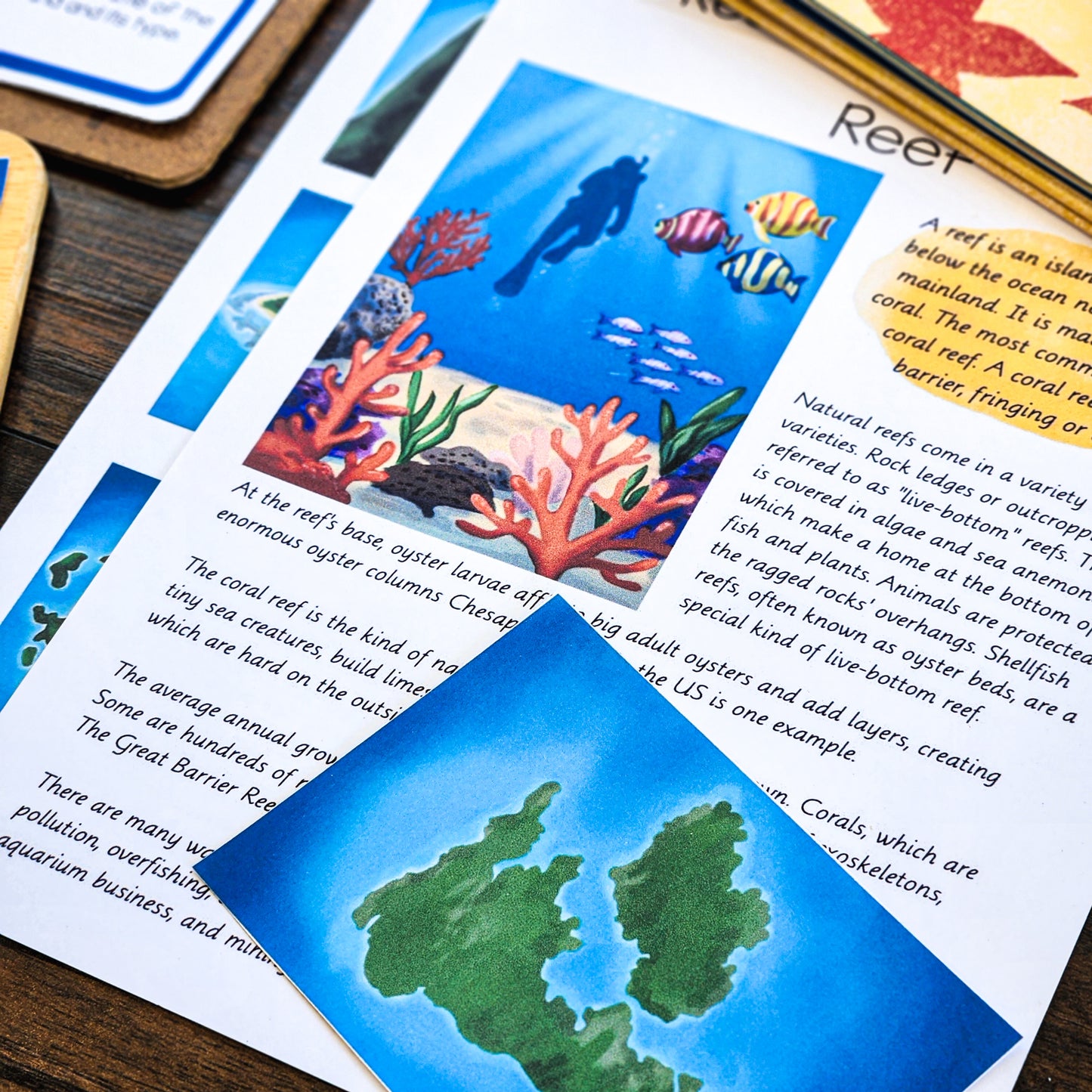 Montessori types of Islands for 9-12 year olds (geography) - montessorikiwi