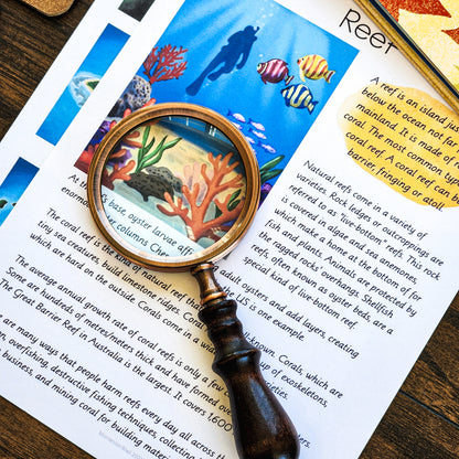 Montessori types of Islands for 9-12 year olds (subscription) - montessorikiwi