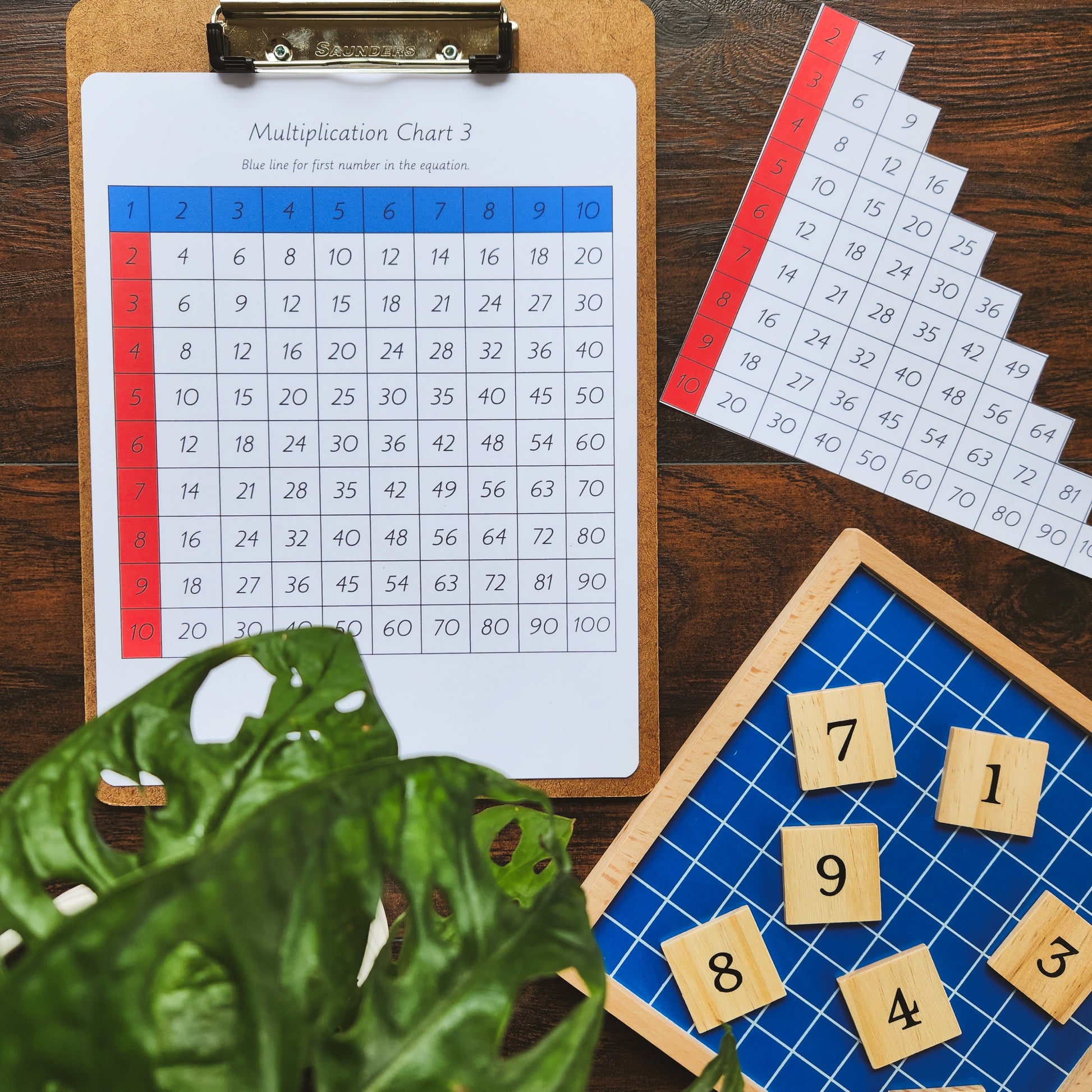 Montessori Multiplication Table Finger Charts - montessorikiwi