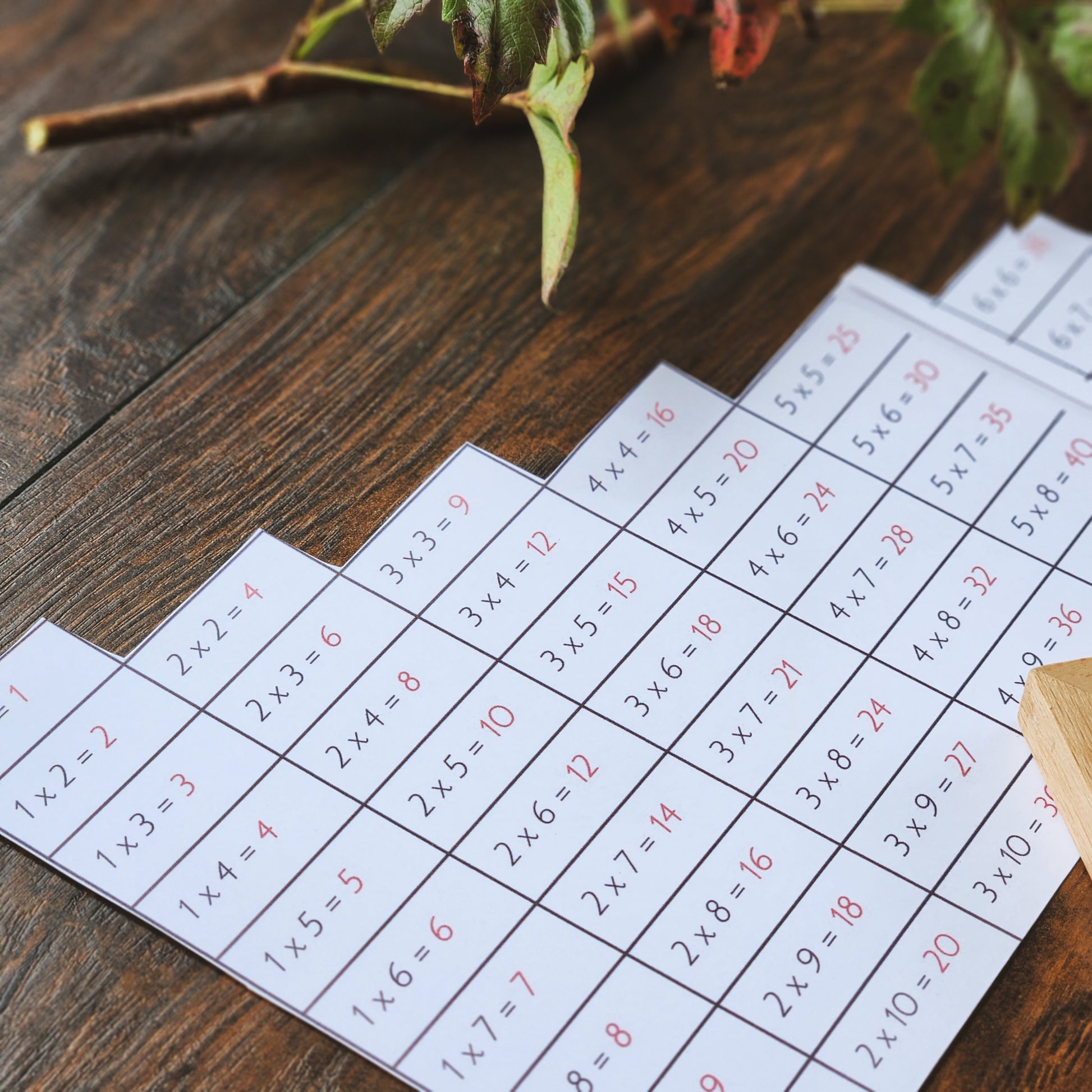 Montessori Multiplication Table Finger Charts - montessorikiwi