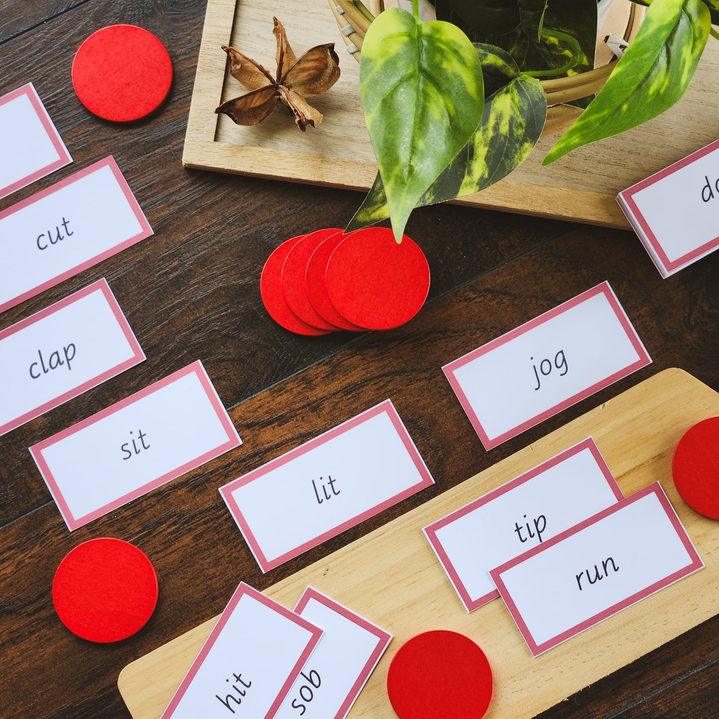 CVC and CCVC decodable  Montessori verb game - montessorikiwi