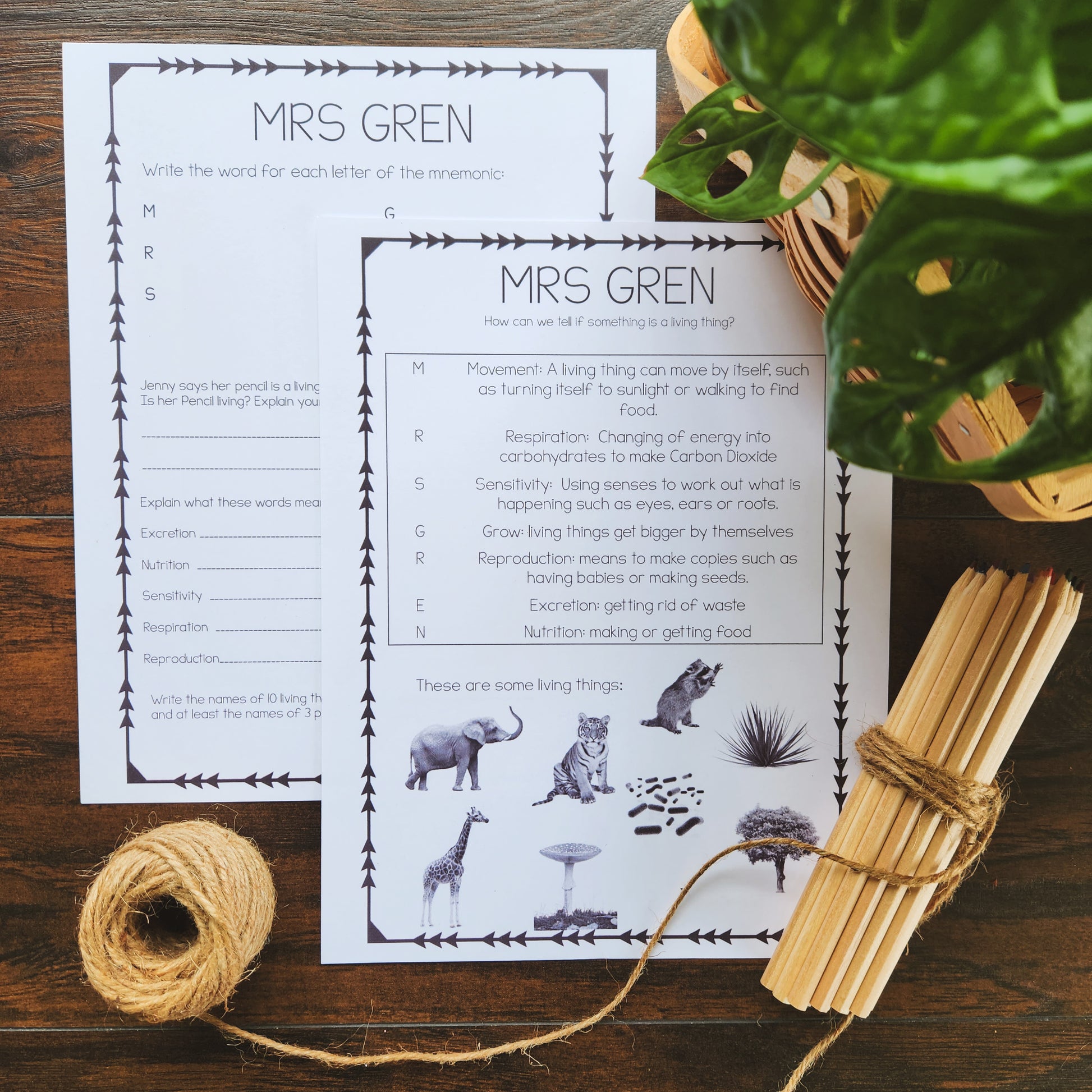 MRS GREN worksheet - montessorikiwi