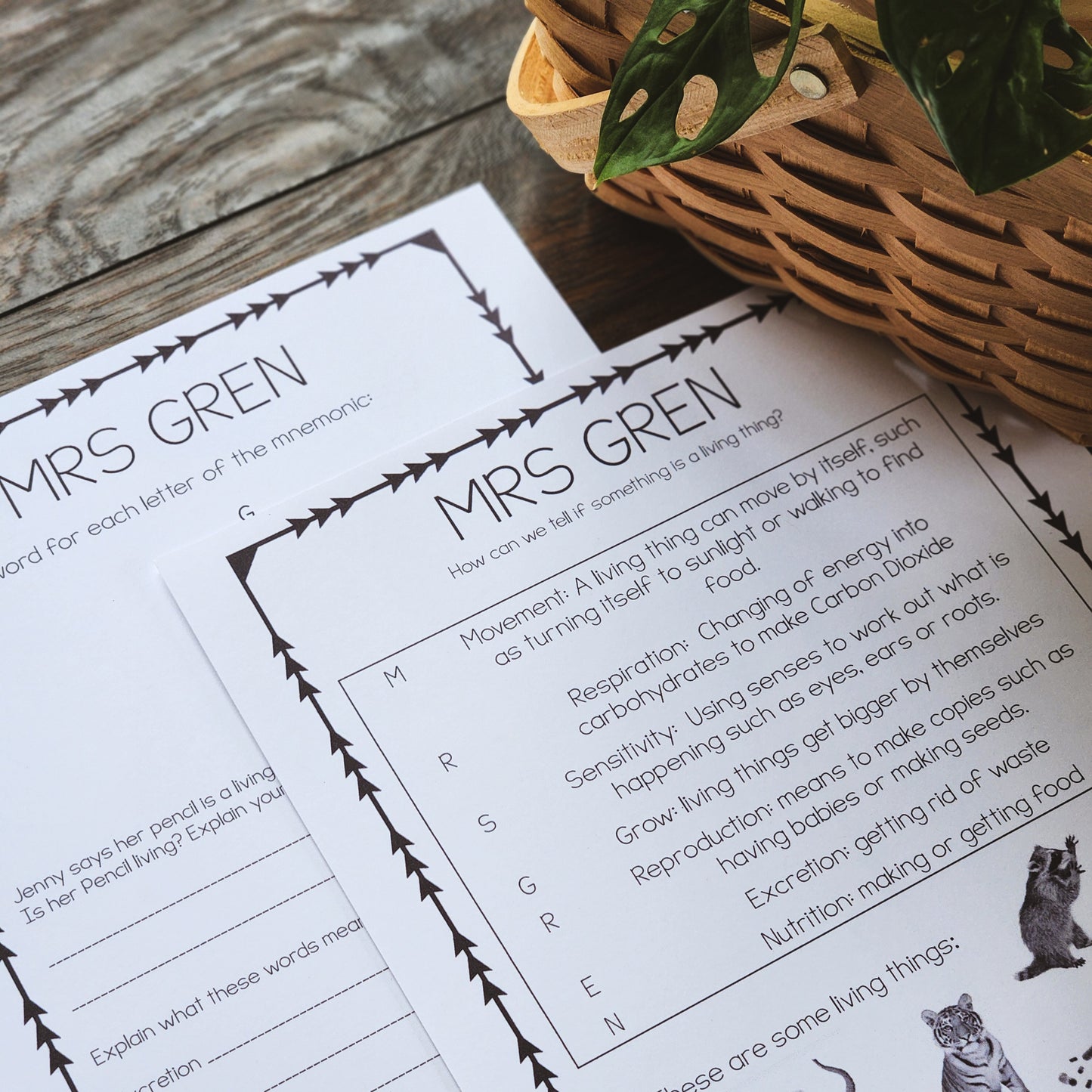 MRS GREN worksheet - montessorikiwi