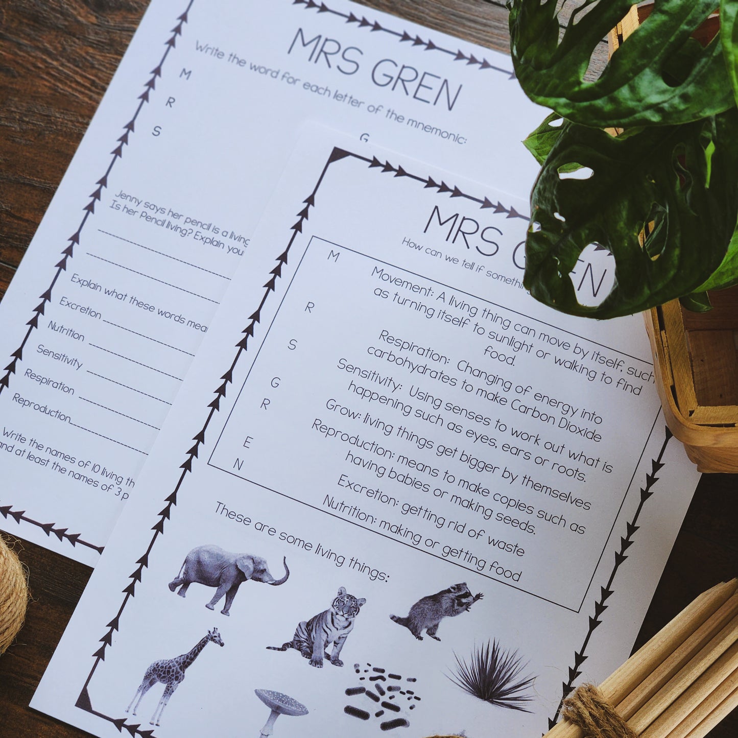 MRS GREN worksheet - montessorikiwi