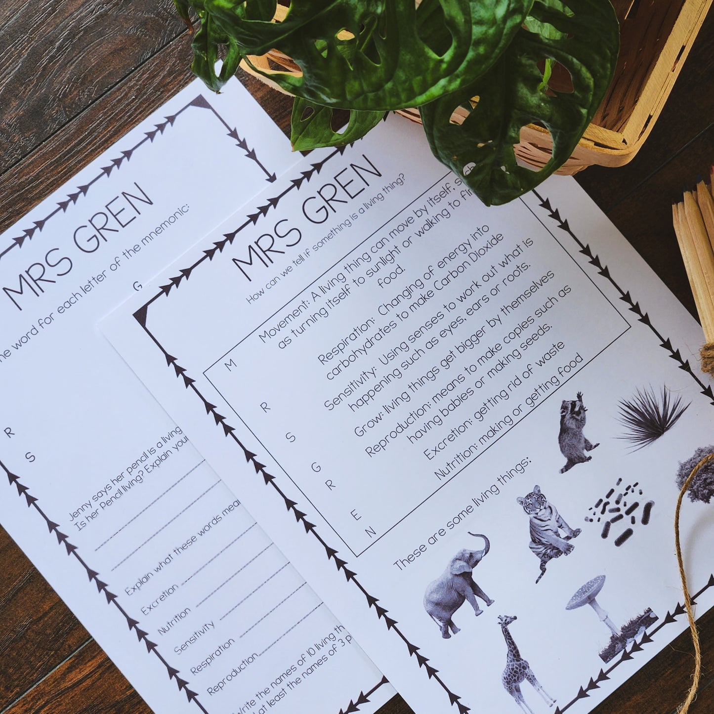 MRS GREN worksheet - montessorikiwi