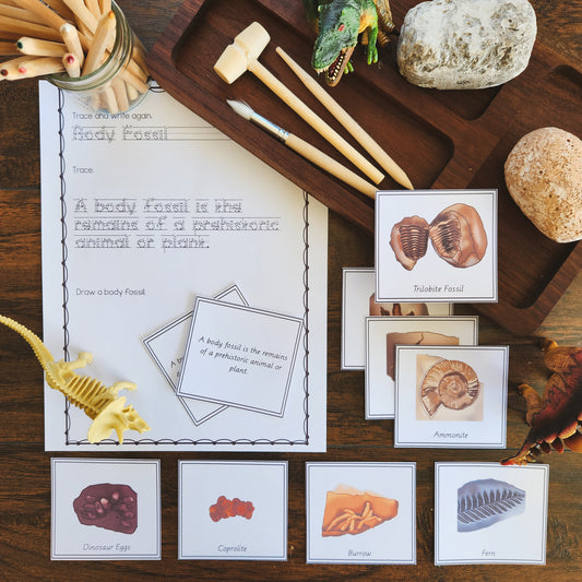 Body or Trace Fossil sorting and handwriting - montessorikiwi