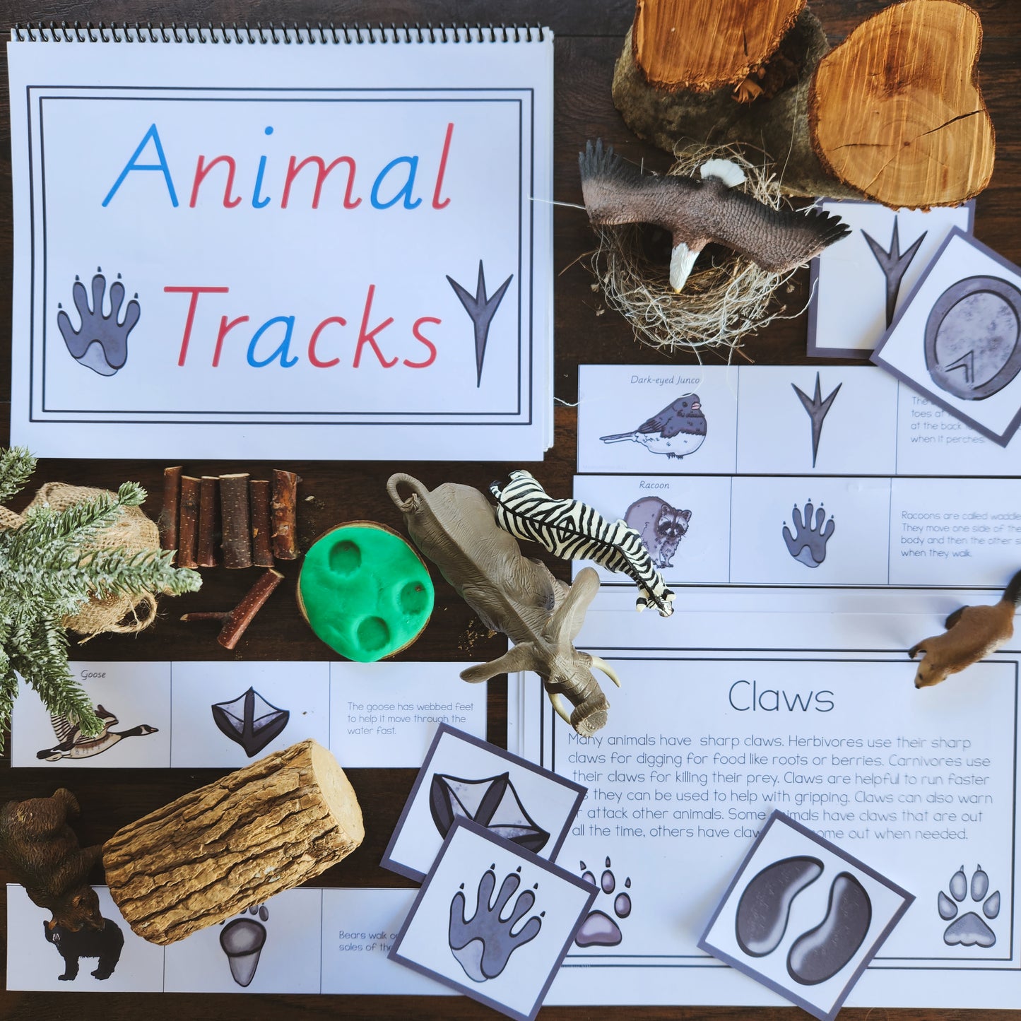 Animal Tracks - montessorikiwi