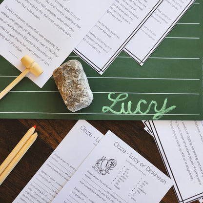 Montessori Early Humans Bundle for Cosmic Education & Timeline of Life Studies (Montessori Inspired)
