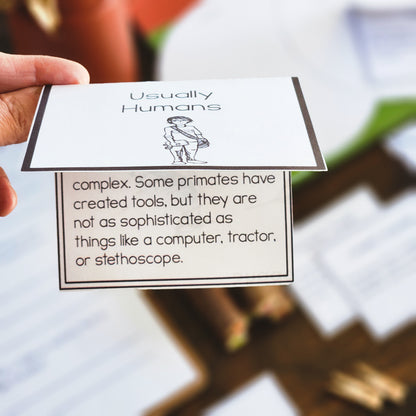 Montessori Early Humans Bundle for Cosmic Education & Timeline of Life Studies (Montessori Inspired)