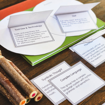 Montessori Early Humans Bundle for Cosmic Education & Timeline of Life Studies (Montessori Inspired)