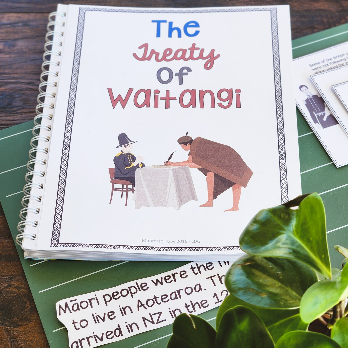Waitangi Day Story Book