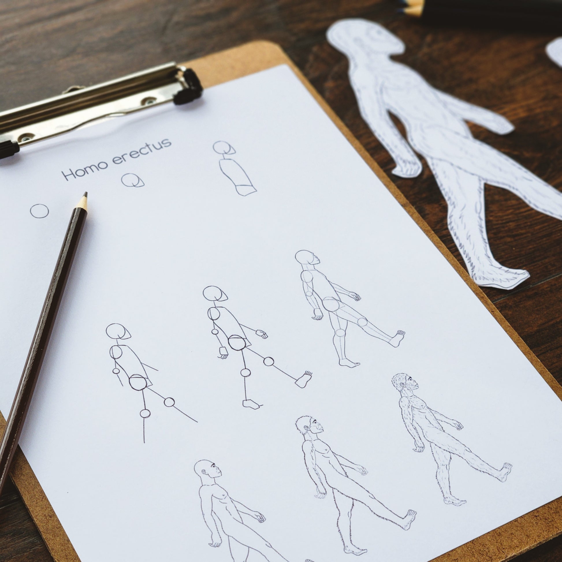 How To Draw Early Man Step By Step