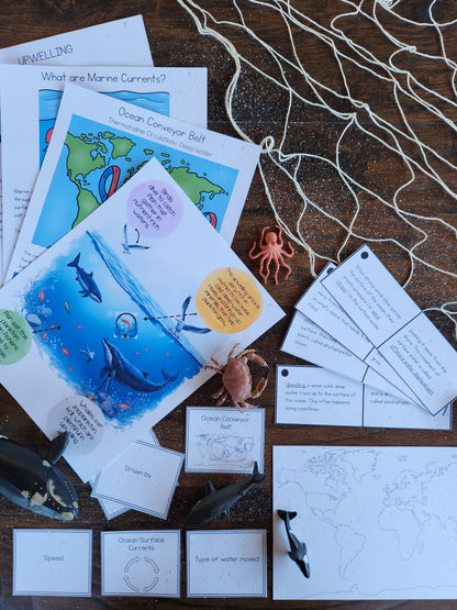 Ocean Currents Activities for Montessori Upper Elementary