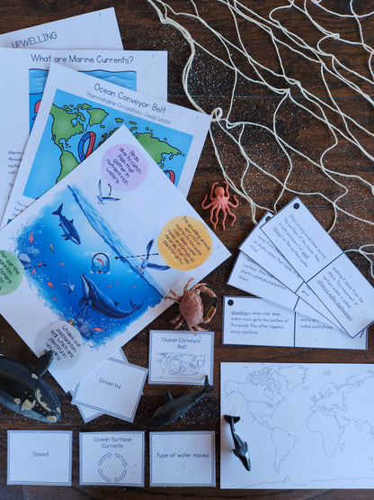 Ocean Currents Activities for Montessori Upper Elementary