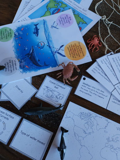 Ocean Currents Activities for Montessori Upper Elementary
