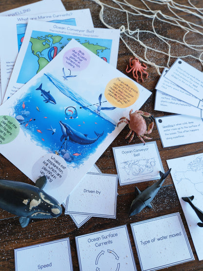 Ocean Currents Activities for Montessori Upper Elementary