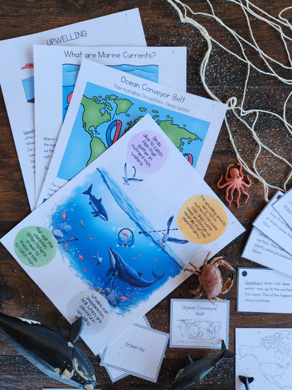 Ocean Currents Activities for Montessori Upper Elementary