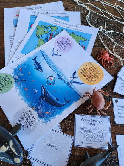 Ocean Currents Activities for Montessori Upper Elementary