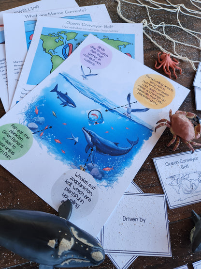 Ocean Currents Activities for Montessori Upper Elementary