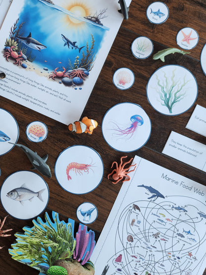 Marine Ecology Activities for Upper Elementary Montessori Learners