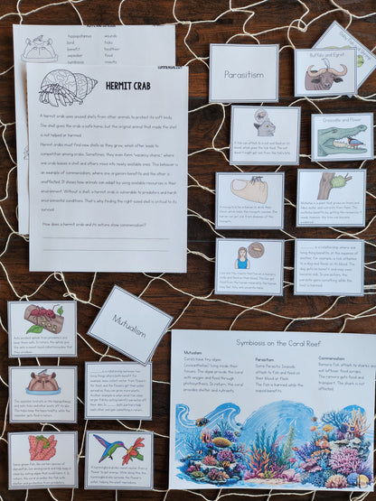 Montessori Aligned Symbiosis Activities for Upper Elementary