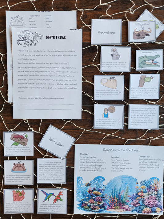 Montessori Aligned Symbiosis Activities
