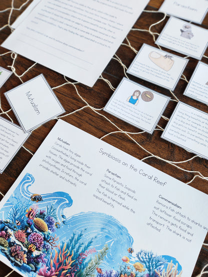 Montessori Aligned Symbiosis Activities for Upper Elementary