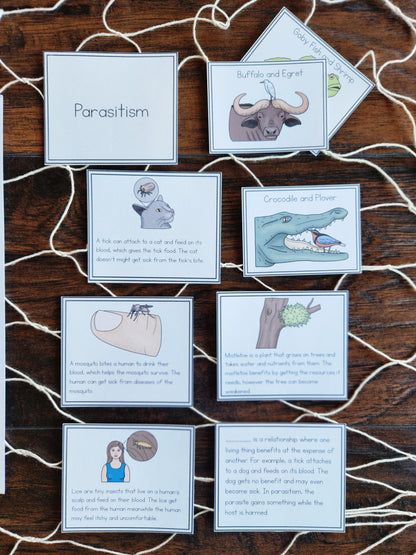 Montessori Aligned Symbiosis Activities for Upper Elementary