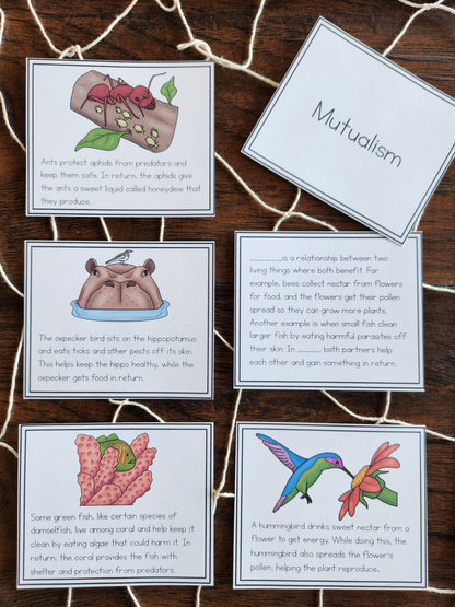 Montessori Aligned Symbiosis Activities for Upper Elementary