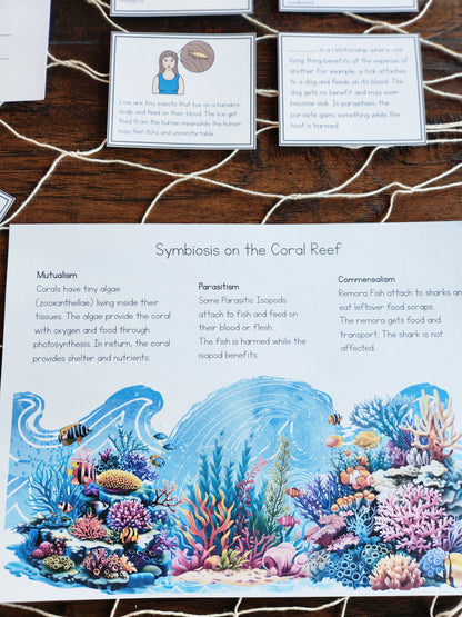 Montessori Aligned Symbiosis Activities for Upper Elementary