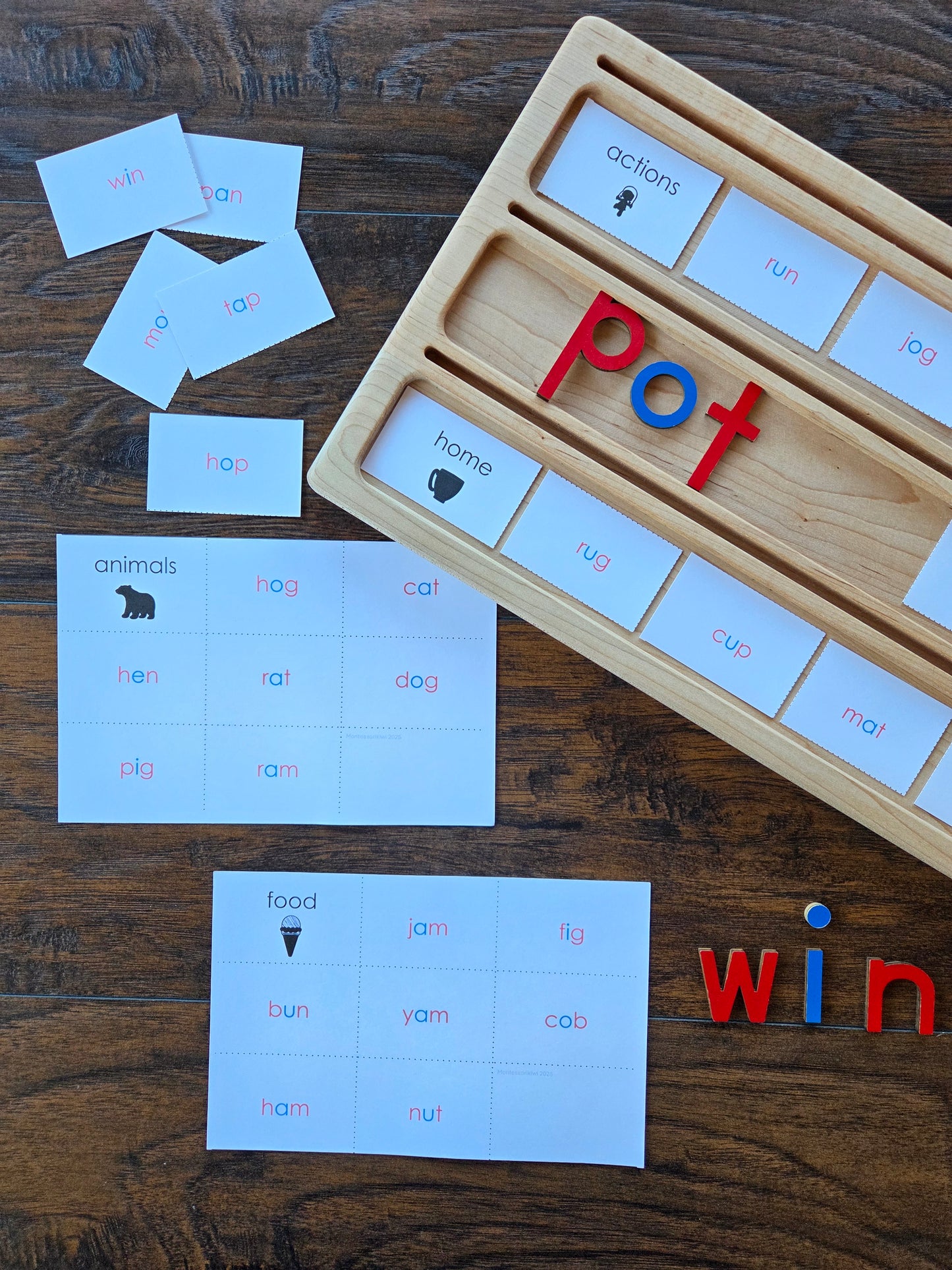 Modern Montessori Reading SOR CVC categorizing words (literacy)
