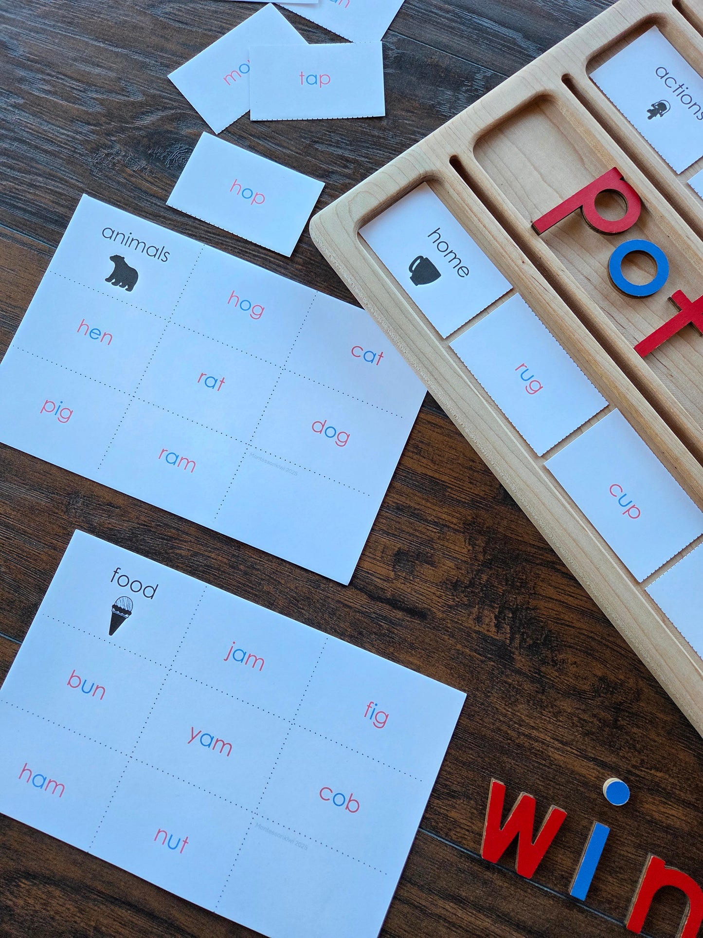 Modern Montessori Reading SOR CVC categorizing words (literacy)