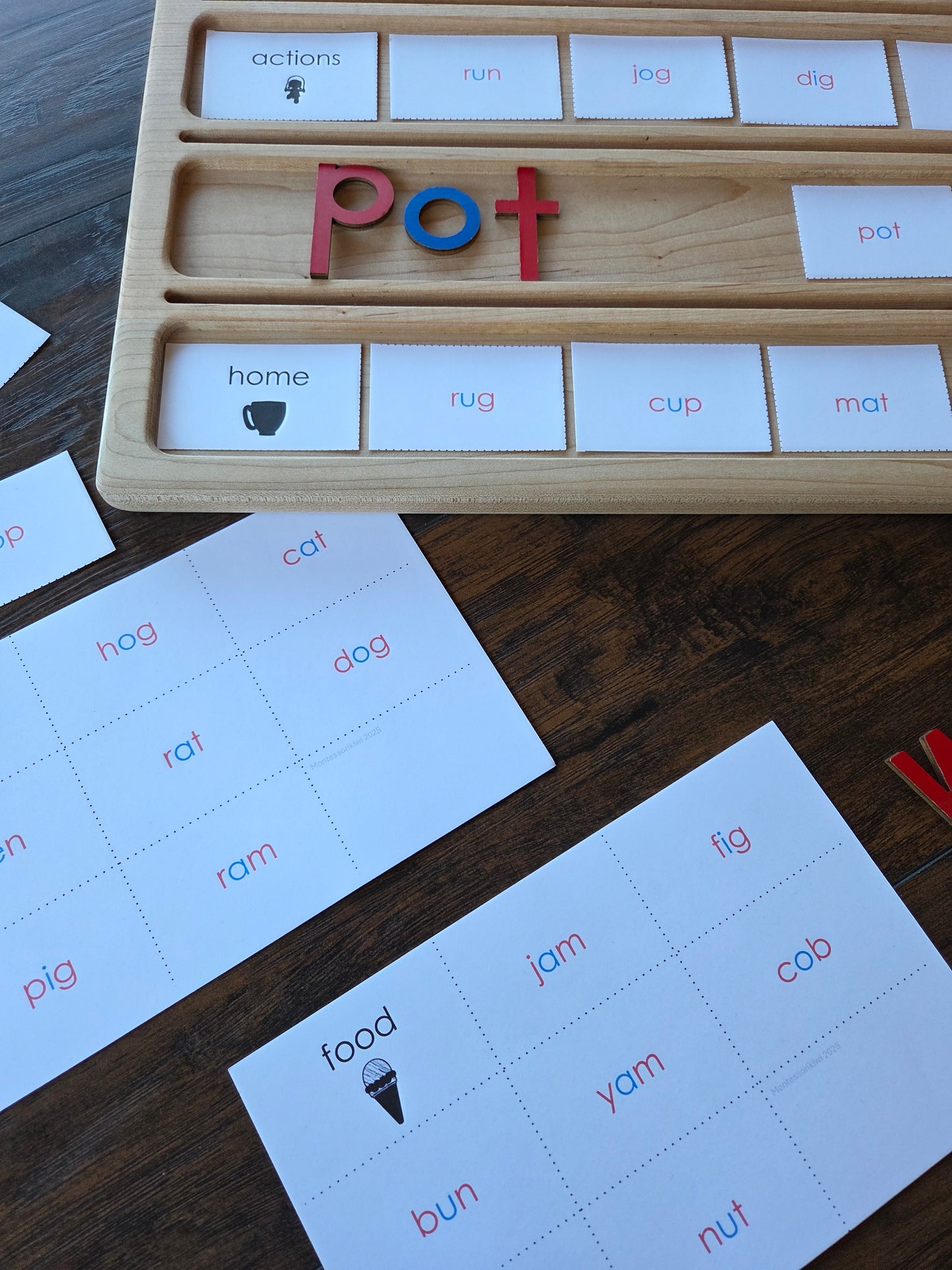 Modern Montessori Reading SOR CVC categorizing words (literacy)
