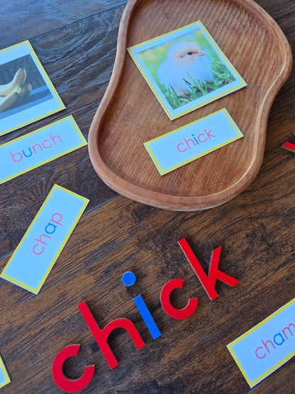 Modern Montessori Reading SOR Digraph picture to word match (literacy)