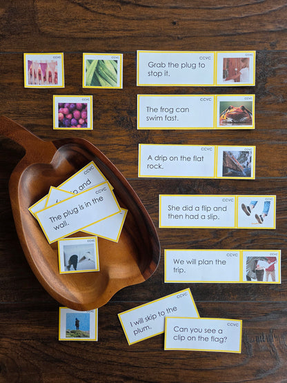 Modern Montessori Reading SOR CCVC Picture to Sentence Match (literacy)