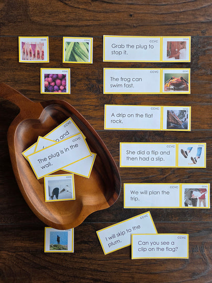 Modern Montessori Reading SOR CCVC Picture to Sentence Match (literacy)