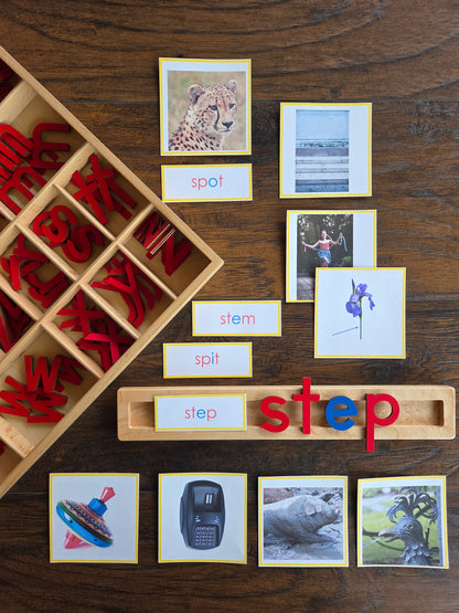 Modern Montessori Reading: CCVC Word to Picture Match (literacy)