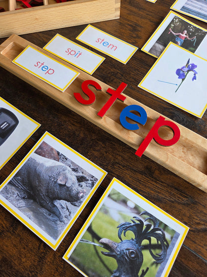 Modern Montessori Reading: CCVC Word to Picture Match (literacy)