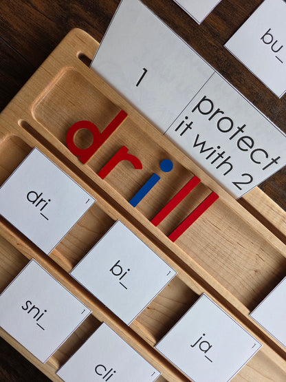 Modern Montessori Reading SOR FLOSZ Sorting Activity (literacy)