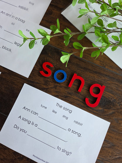 Modern Montessori Reading SOR simple reading comprehension fill in gaps  (literacy)