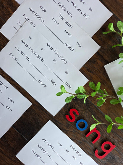 Modern Montessori Reading SOR simple reading comprehension fill in gaps  (literacy)