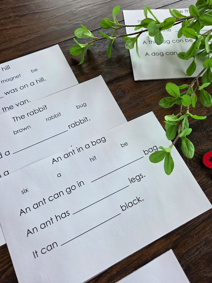 Modern Montessori Reading SOR simple reading comprehension fill in gaps  (literacy)